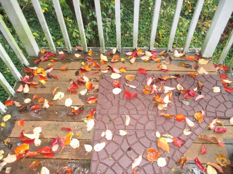 Leafy Porch