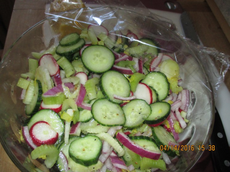 Cuke, Radish, Celery & Red Onion Salad